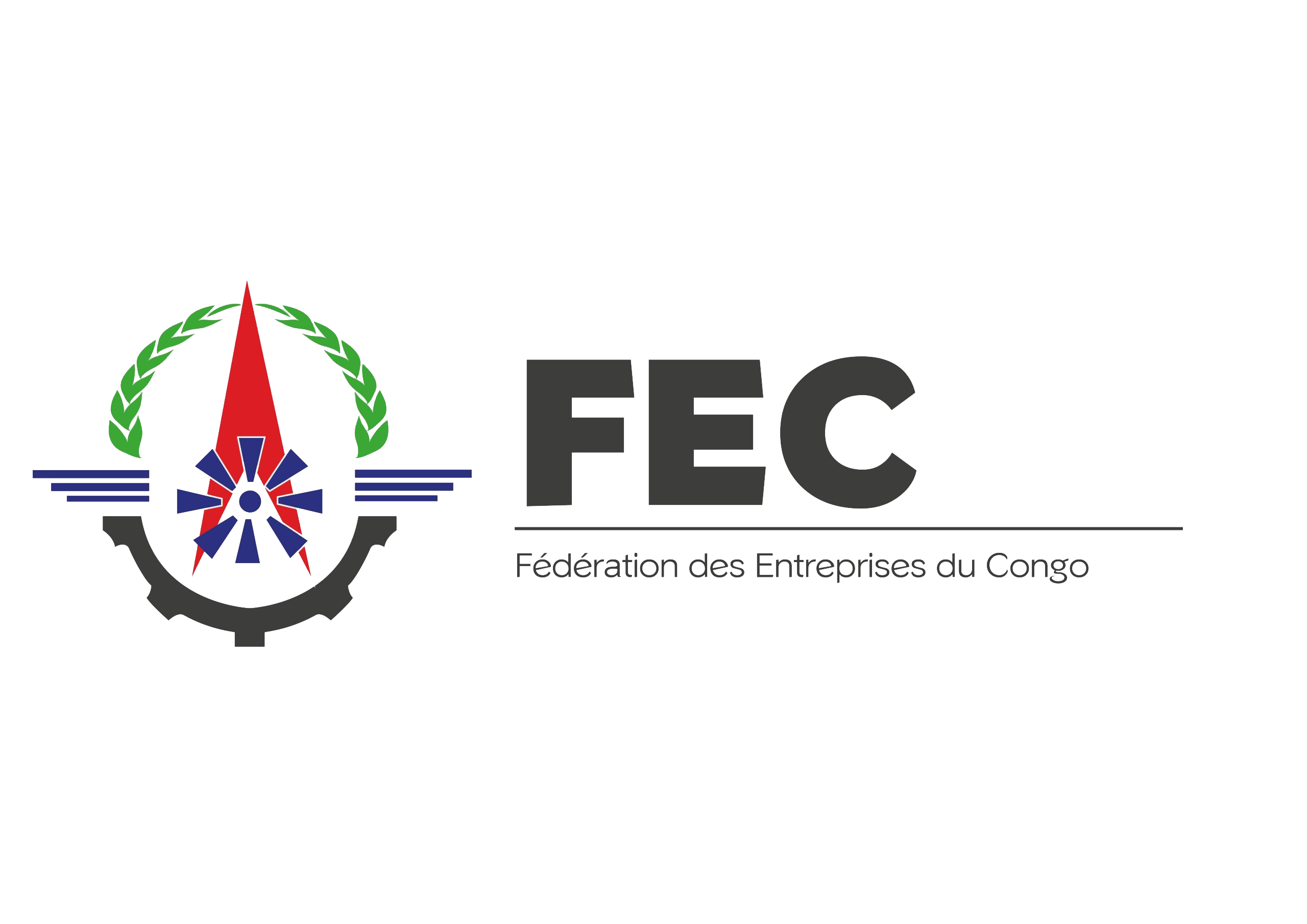 FEC RDC